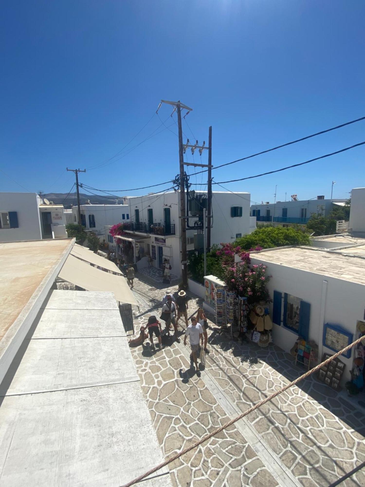 Margarita אנדיפרוס